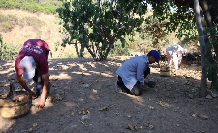 İncir üreticisi Aydın Ziraat Odası Başkanı Kendirlioğlu’na ateş püskürdü