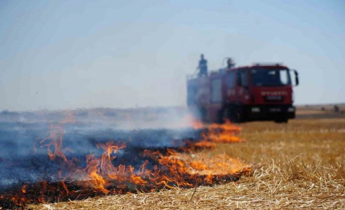 İpsala Kaymakamlığı’ndan anız yakanlara uyarı: "Ceza kesmekten yorulduk, bu görüntüler İpsala’mıza yakışmıyor"
