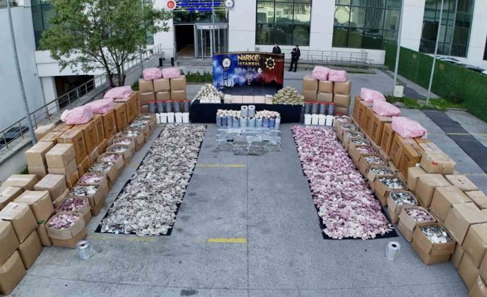 İstanbul merkezli dev uyuşturucu operasyonu