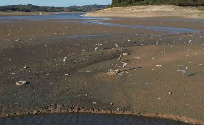 İstanbul’da barajlar alarm veriyor: Son 10 yılın en düşük su seviyesi