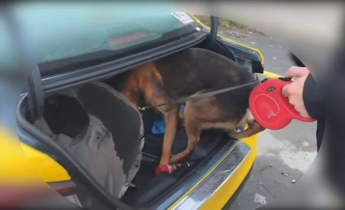 İstanbul’dan Sakarya’ya uyuşturucu getiren şüpheli tutuklandı