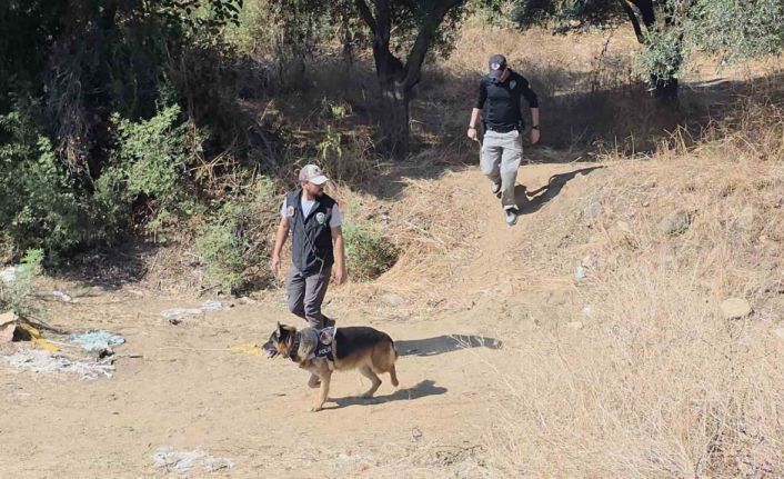 İzmir’de annesinin toprağa gömdüğü bebeği arama çalışmaları sürüyor