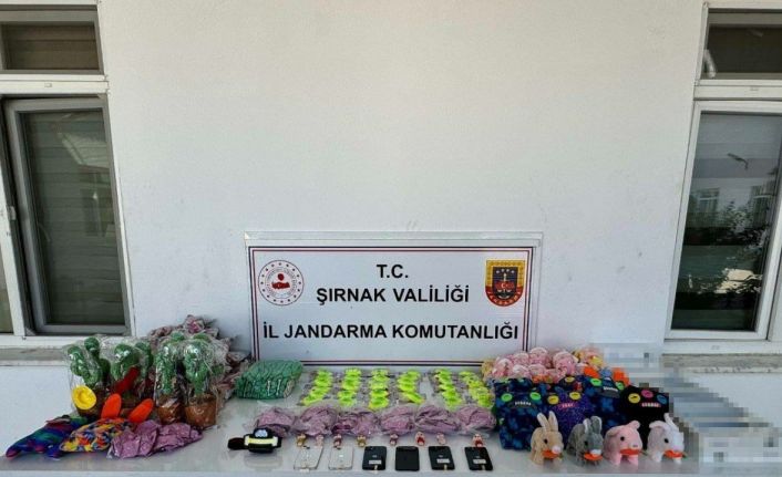 Jandarmadan kaçakçılık operasyonu: 98 şüpheli hakkında yasal işlem yapıldı