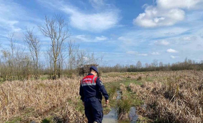Kaçak avcılıkta kullanılan 6 avcı kulübesi imha edildi