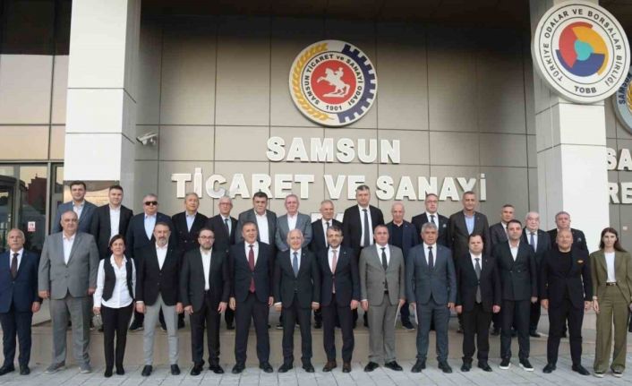 Kahverengi kokarca sorunu Samsun’daki oda ve borsaların gündeminde