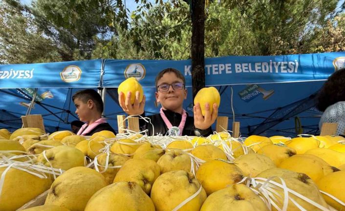 Kalitesiyle ünlü Eşme ayvası, festivalle görücüye çıktı