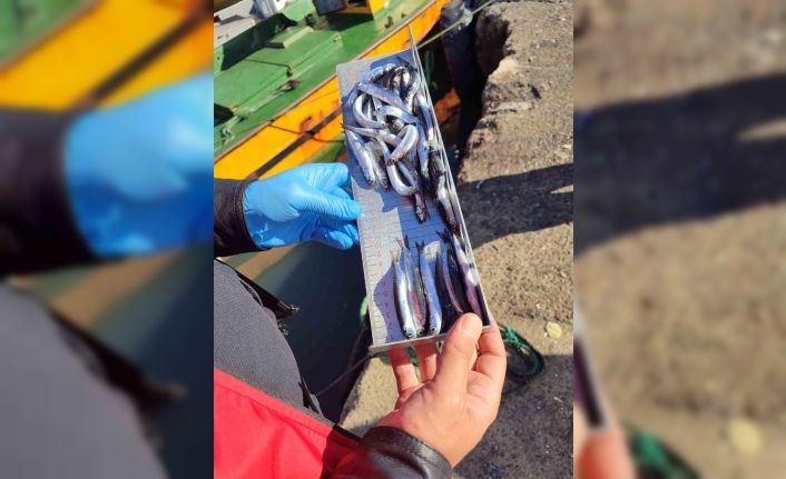 Karadeniz Ereğli’de balıkçılık denetimlerinde 153 tekneye e-seyir onayı verildi