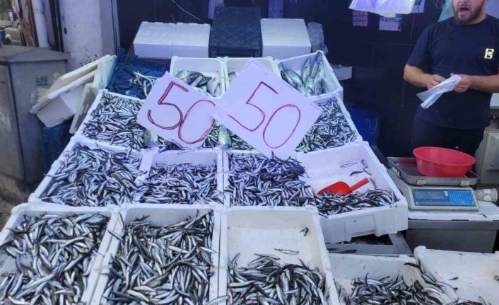 Karadeniz hamsisi tezgahları doldurdu: Kilosu 50 lira