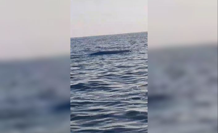 Karadeniz kıyılarında bir insansız deniz aracı şüphesi daha