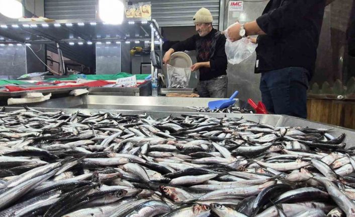 Karadeniz’de hamsi bollaştı, Bartın’da kilosu 50TL’ye düştü