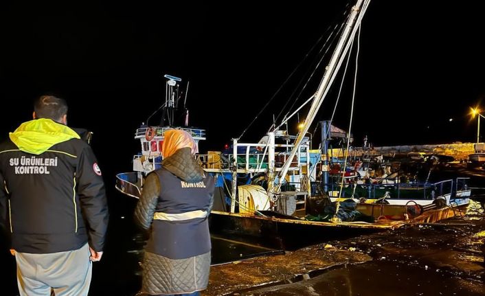 Karadeniz’de hamsi yoğunluğu devam ediyor