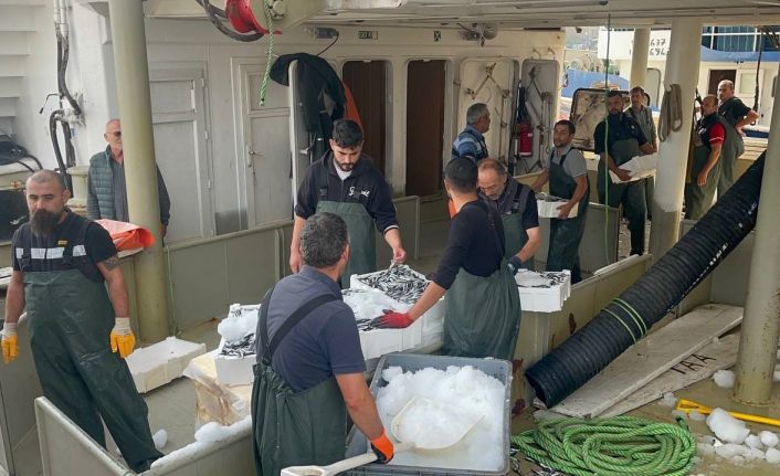 Karadeniz’den kasalarca hamsi çıktı