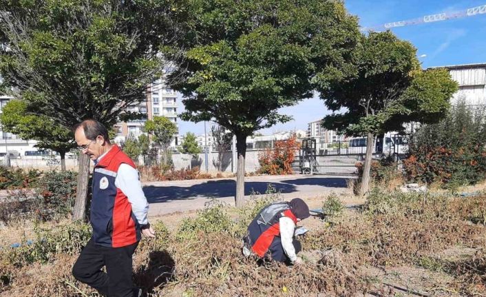 Karadeniz’in korkulu rüyası Sivas’ta görüldü