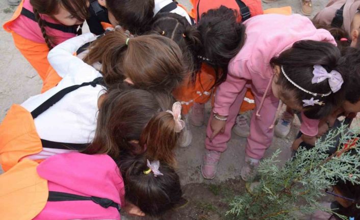 Karapınar’da minikler yeşil çevre için fidan dikti