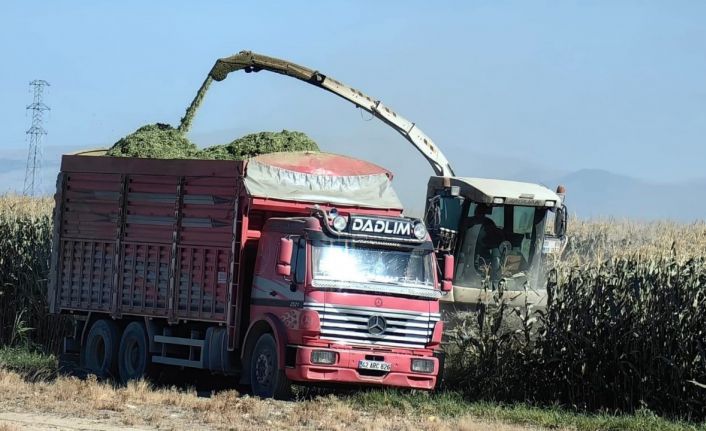 Karapınar’da mısır hasadı başladı