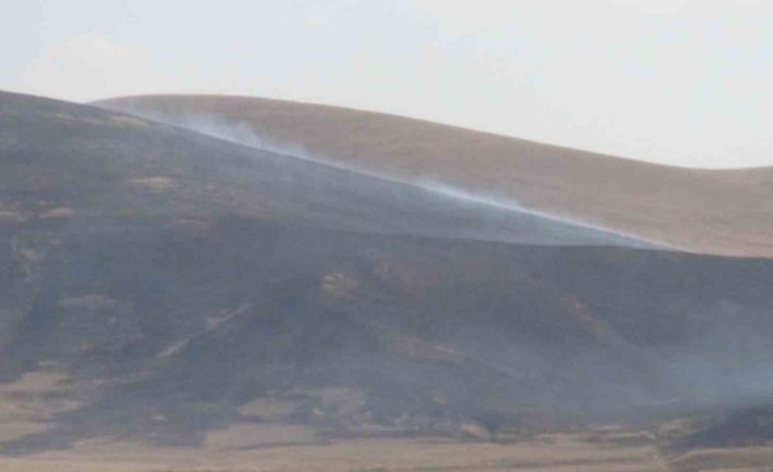 Kars’ta anız yangını