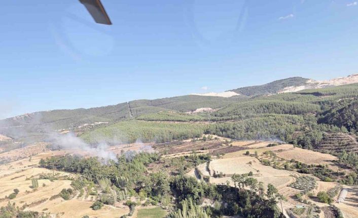 Kavaklıdere-Bozdoğan sınırındaki yangın kısa sürede söndürüldü