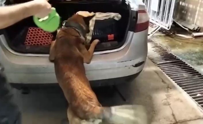 Kedi taşıma çantasında 2 kilo uyuşturucu ele geçirildi