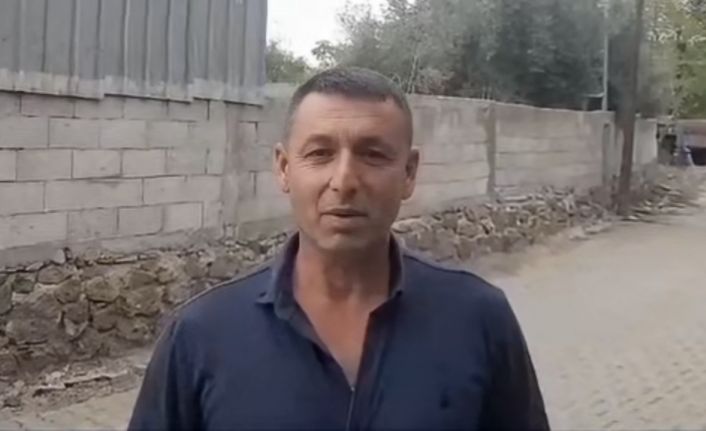 Kediye kalp masajı yaptı, hayata döndürdü