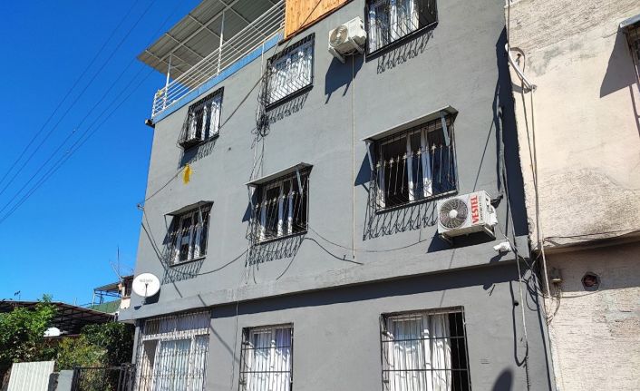 Kediyi çalıp fotoğraf çekindiler: O anlar kameraya yansıdı