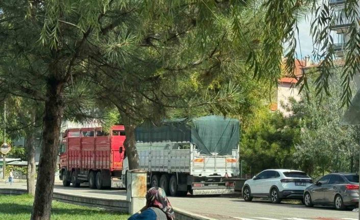 Kentin cadde ve sokaklarını ağır tonajlı araçların işgal etmesine vatandaşlar tepkili