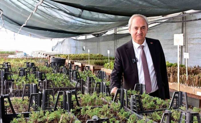 Kepez’den kurakçıl peyzaj hamlesi