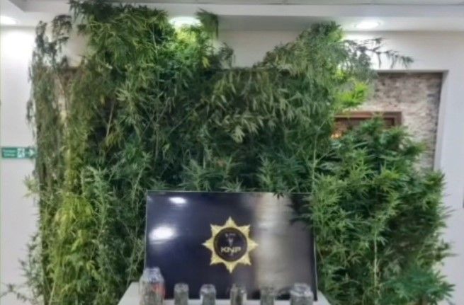 Kırklareli’nde uyuşturucu operasyonu: 2 gözaltı