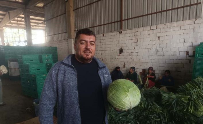 Kışlık ürünlerde hasat başladı