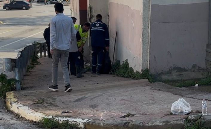 Kocaeli’de freni boşalan otobüs duvara çarptı: 3’ü polis 7 yaralı