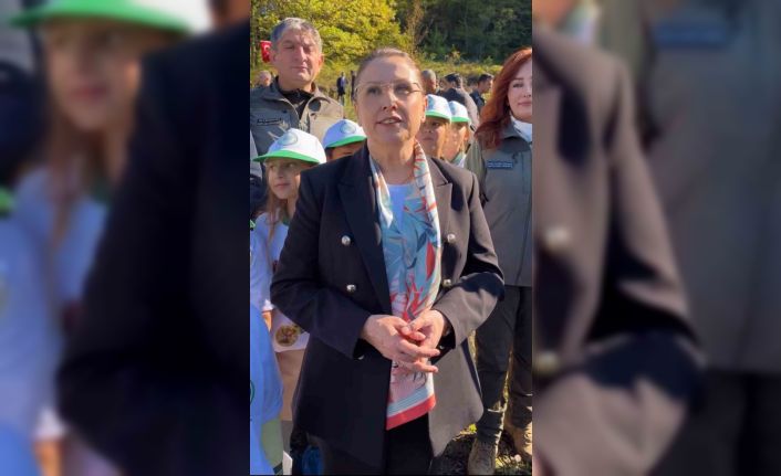 Kokarca istilasına karşı 250 sülün doğaya salındı