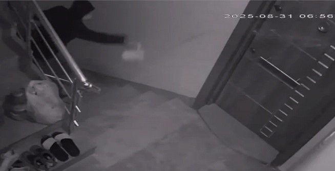 Komşularını canından bezdirdi