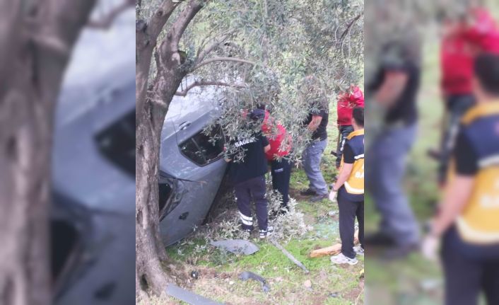 Kontrolü kaybetti zeytin bahçesine uçtu: 2 yaralı