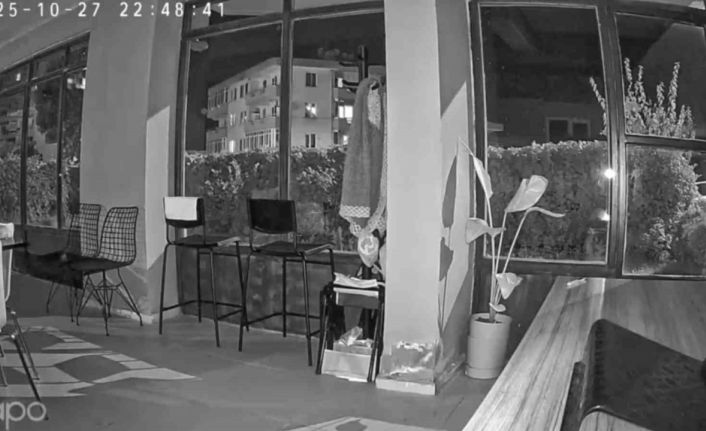 Korkutan şimşeğin ardından deprem meydana geldi