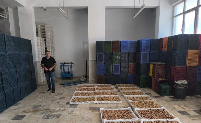 Köşk’te kuru incir depolarına sıkı denetim