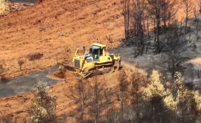 Köyceğiz’de yanan alanlara ilk fidanlar 11 Kasım’da toprakla buluşacak