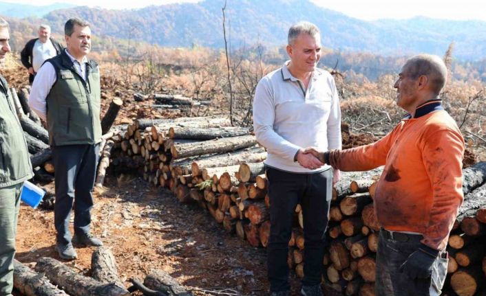 Köyceğiz’de yanan sahalar fidan dikimi için hazırlanıyor