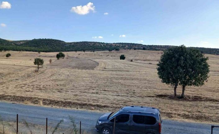 Kulp’ta sağanak başladı, çitçiler umutlandı