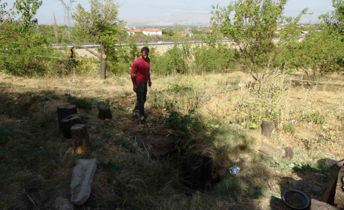 Malatya’da kayısı bahçesinde obruk oluştu