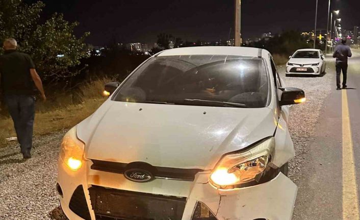 Malatya’da otomobilin çarptığı domuz telef oldu