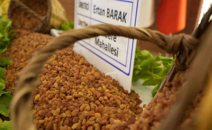 Manisa’nın 9 aylık tarım ihracatı 706,7 milyon dolara ulaştı