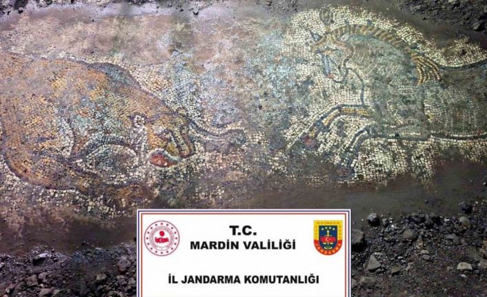 Mardin’de "Anadolu Mirası" operasyonunda 1500 yıllık mozaik ele geçirildi