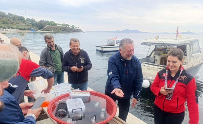 Marmara’da 400 ıstakoz yavrusu yapay resiflere bırakıldı
