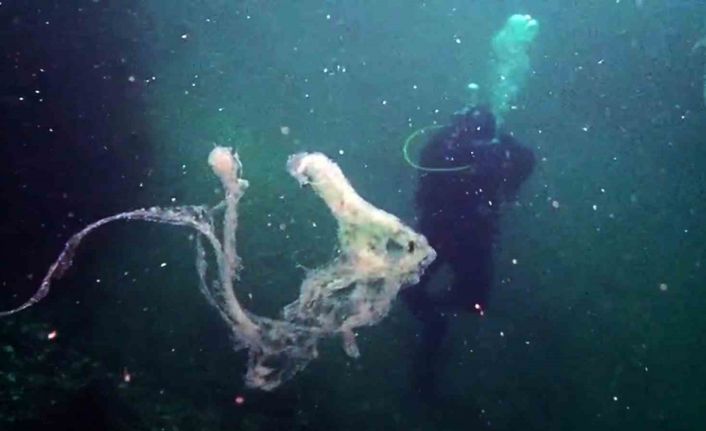 Marmara’da mercanlara müsilaj tehdidi