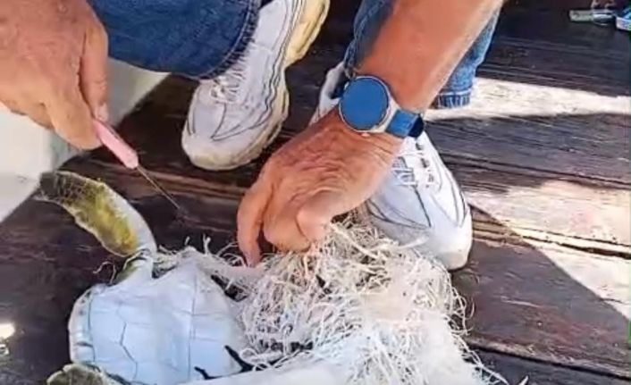 Marmaris Körfezi’nde çuvala dolanan deniz kaplumbağasını çevreciler kurtardı