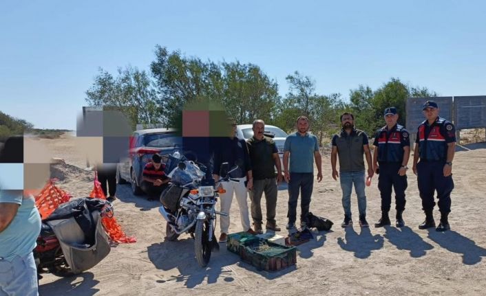 Mersin’de kaçak yırtıcı kuş avcılığı yapan 4 kişiye 143 bin lira ceza kesildi
