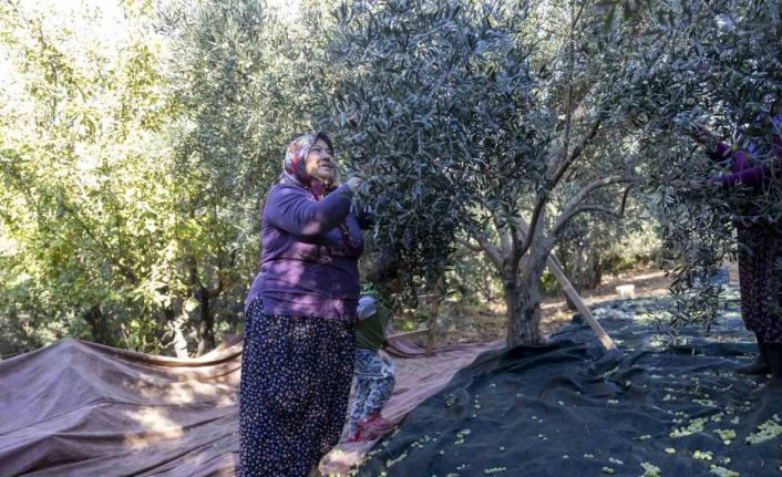Mersin’de kadınlar üreterek güçleniyor