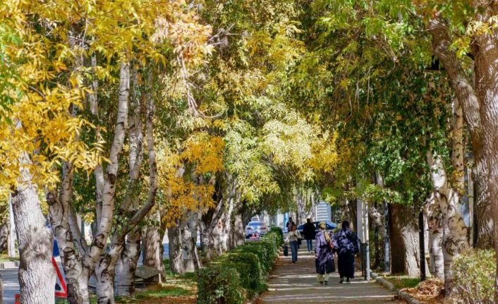 Meteorolojiden kuvvetli rüzgar ve kar uyarısı
