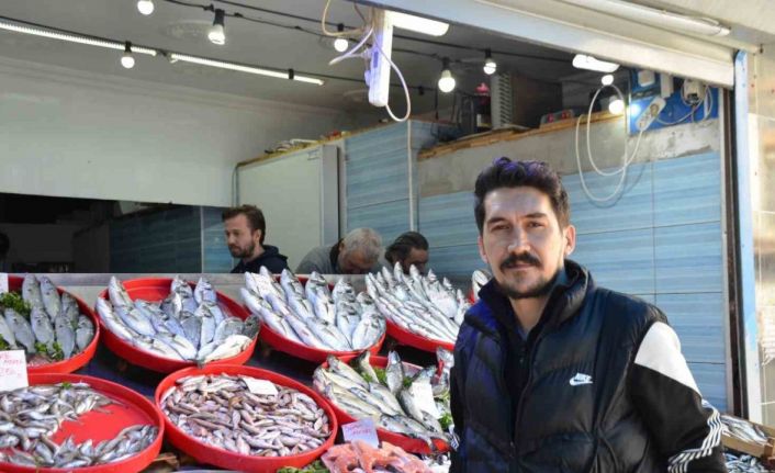 Mevsiminin en lezzetli balıkları hamsi ve sardalya