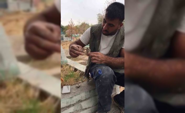 Mezarlıktan kefenlenmiş oyuncak bebek çıktı