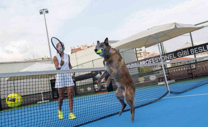 Milli Tenisçi Büyükakçay, patili dostu ile tenis oynadı